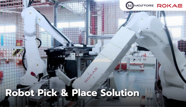 Robot Pick & Place Solution